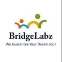 bridgelabz