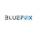 bluefoxto