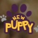 newpuppy